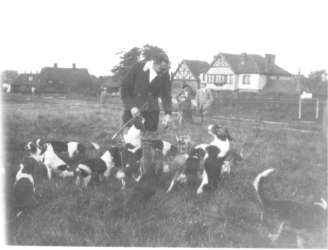 Horsted Keynes: Broadhurst beagles. Just look at the state of the grass on the green. Not a mower in sight! 