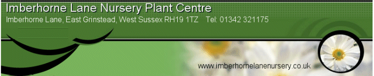 Garden centre East Grinstead