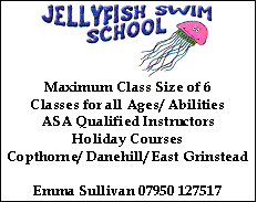 Jellyfish Swim School 07950 127517