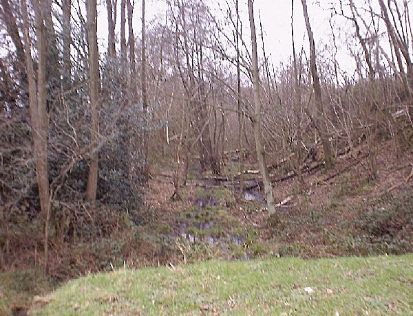 Kenwards Cutting