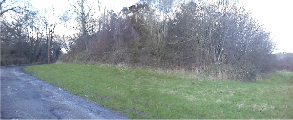 An odd clump in a field